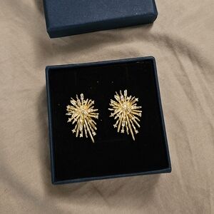 NWT DY Style Earring